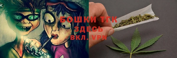 шишки Заволжск