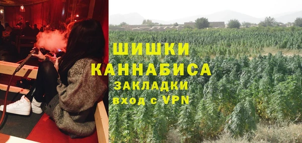 дмт Зеленодольск