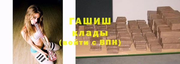 шишки Заволжск