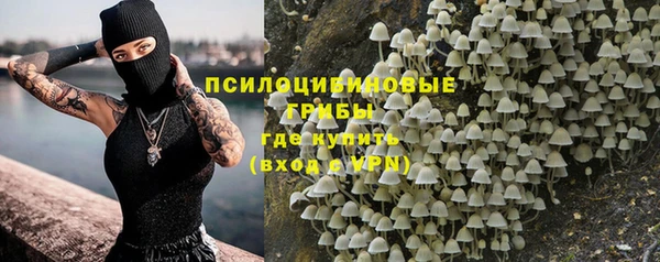 дмт Зеленодольск