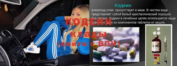 шишки Заволжск
