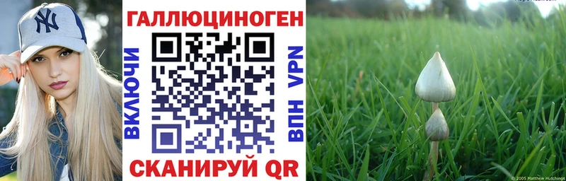 Купить закладки  Добрянка  Галлюциногенные грибы Magic Shrooms 